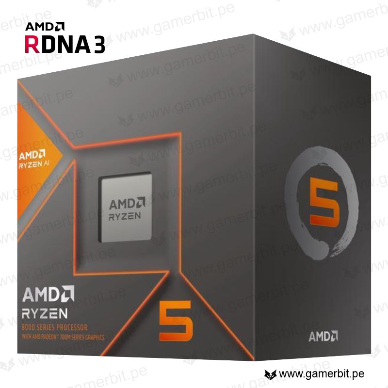 AMD Ryzen 5 8600G